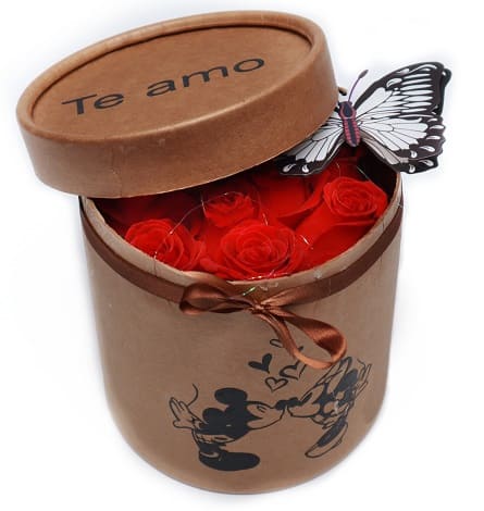 Imagen de Por siempre Descripcion: Arreglo de 10 rosas en caja cerrada con mariposa y brillos para sorprender 