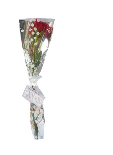 Aliados Imagen de Aliados Descripcion: Ramo de rosa Importada con papel moño!
Importante: Compra mínima 10 para envio