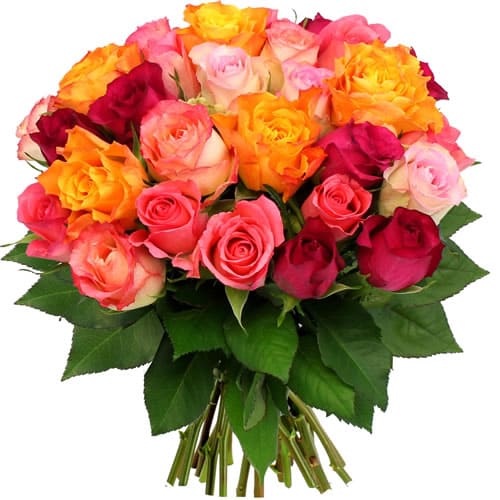 Imagen de Gran amor Descripcion: Ramo de 24 rosas multicolor o consultar colores disponibles