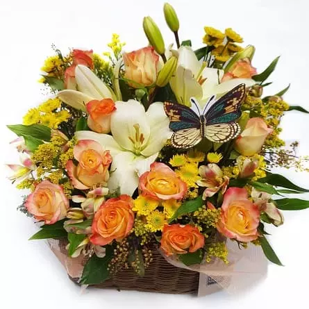 El viaje comienza aquí Imagen de El viaje comienza aquí Descripcion:
Canasta de rosas liliums atromelias y flores variadas con mariposa