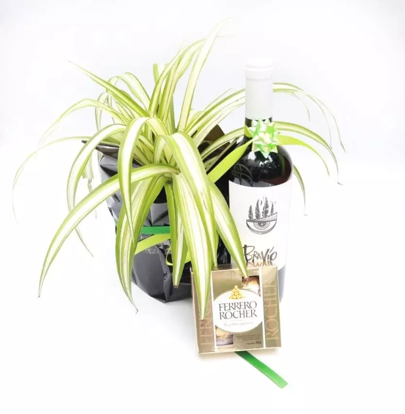 Imagen de Lazos de Amor Descripcion: Planta lazos de amor con vino y chocolates 