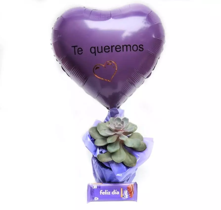 Imagen de Amiga fiel Descripcion: Planta suculenta en forma de rosa con tonos violetas, chocolate con frase feliz día milka y globo personalizado.